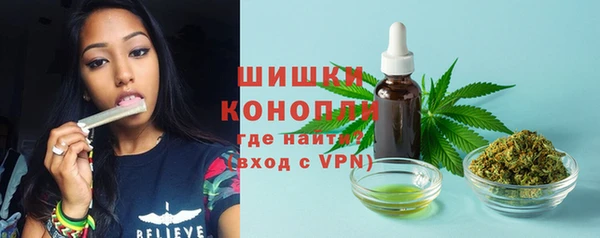 a pvp Ельня