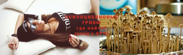 мдма Елизово