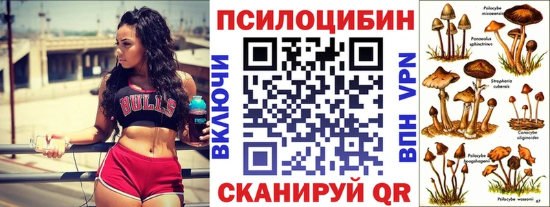 Галлюциногенные грибы мицелий  Салехард 