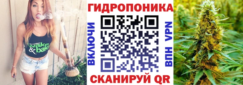 МАРИХУАНА семена как найти Салехард